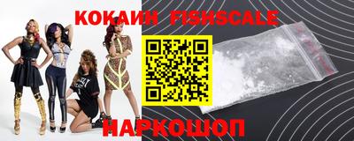 гашик Сланцы
