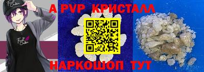 гашик Сланцы
