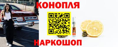 гашик Сланцы
