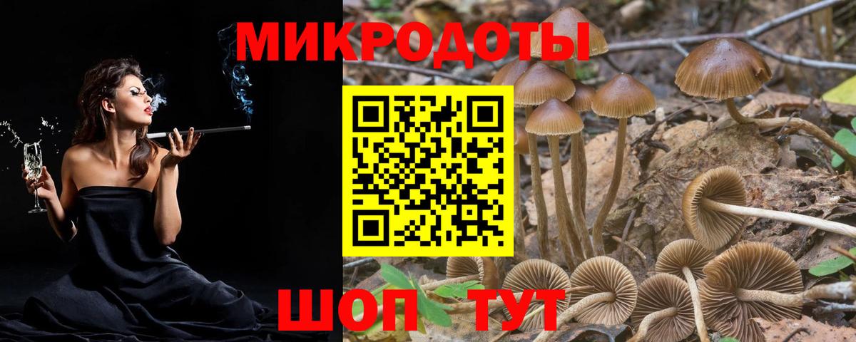 Ростов-на-Дону  Псилоцибиновые грибы MAGIC MUSHROOMS  Галлюциногенные грибы прущие грибы  Вход с VPN 